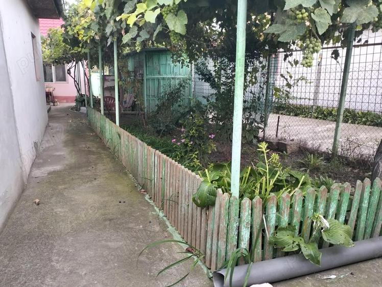 Vand Casa batraneasca ! - 7