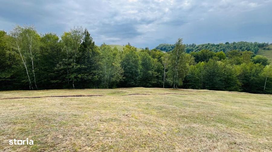 Teren De Vanzare In Zona Purcareti, Jud. Alba. 17800 Mp. - 8