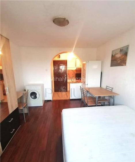 Garsoniera Renovata - Mobilata si Utilata Complet - Zona Ste