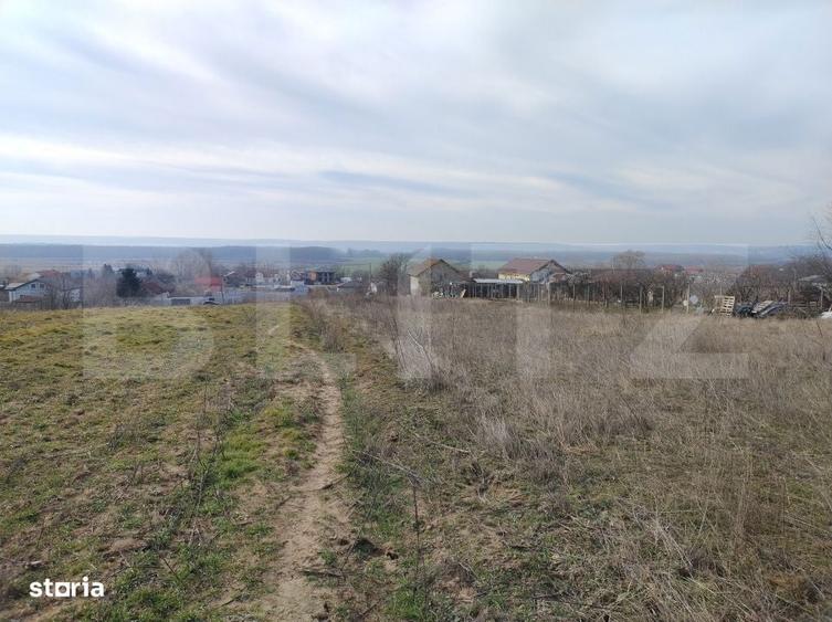 Teren intravilan, Malu Mare, 1469 mp, Aleea I Nucilor - 6