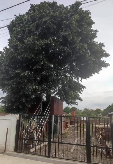 Casa 5 camere cu livada 2200 mp- Varasti - 16