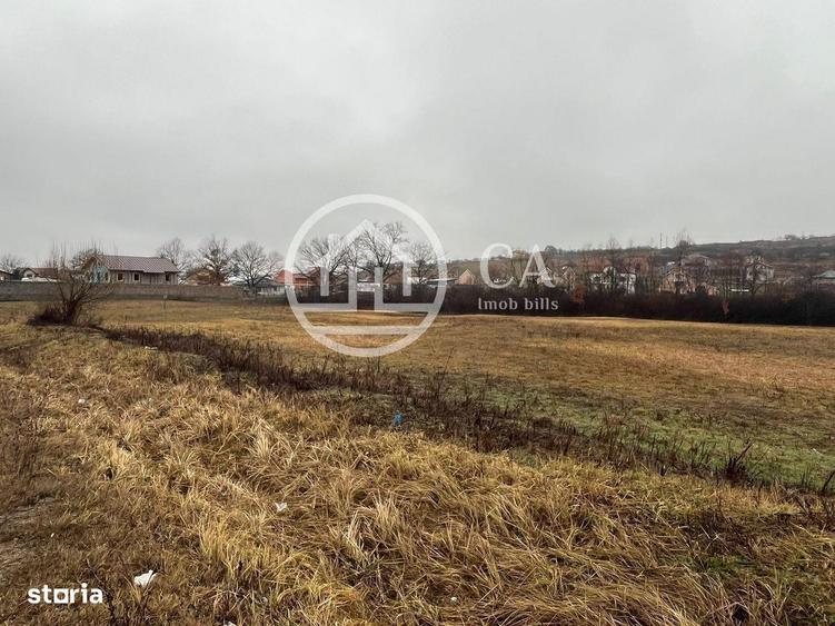 Teren intravilan de vanzare in Beius, Bihor - 3