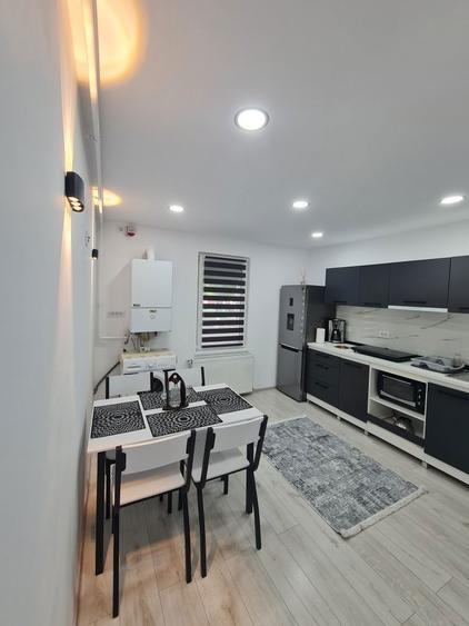 Apartament 1 camera de inchiriat - 10