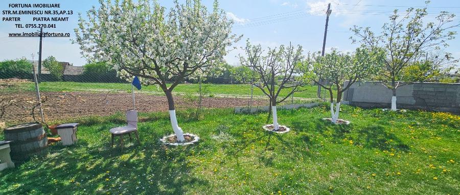 Proprietate Slobozia-Roznov, casa mansardata, teren si livada - 13