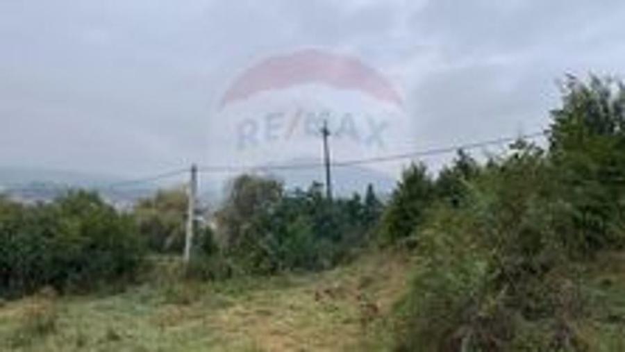 Teren 3542mp Campia Turzii COMISION 0% - 6