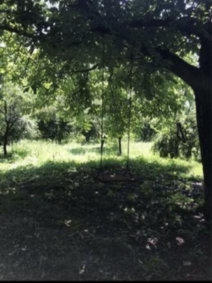 Vand 2200 mp (teren intravilan+ casa),Leu, jud Dolj - 6