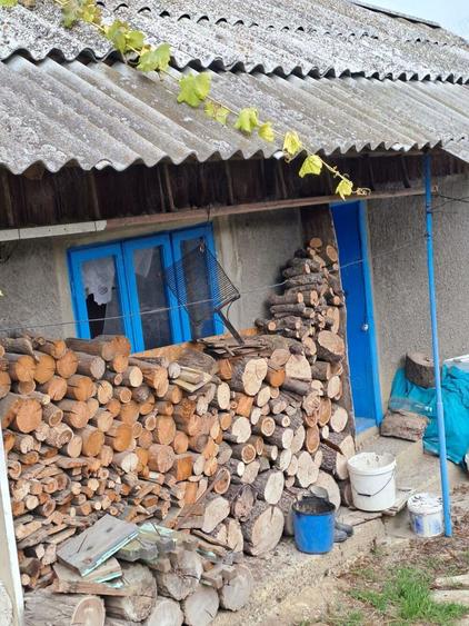 Vand casa su gradina , Baiceni , Judetul Iasi - 5