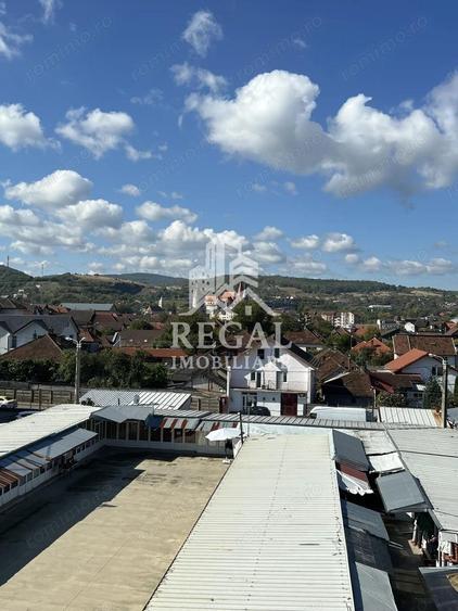 Camera de camin cu baie proprie ?i vedere spre Castelul Corvinilor - 4