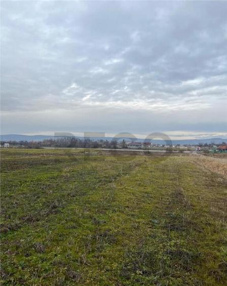 RECO Teren intravilan cu PUZ in Osorhei - 8