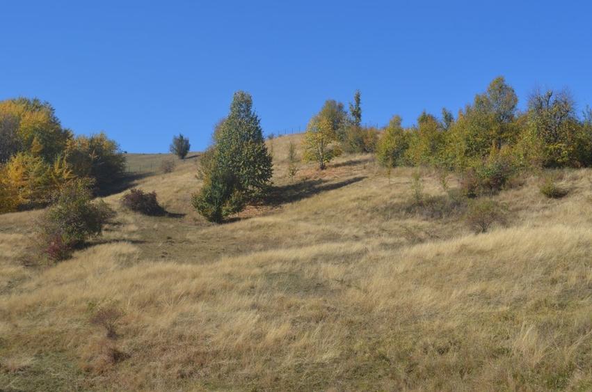 OFERTĂ SPECIALĂ! Teren intravilan de vânzare în Câmpina pe Dealul Muscel - 4