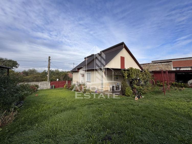 Casa individuala, 4 camere, 2600mp teren, Barcea Mare in Hunedoara - 5