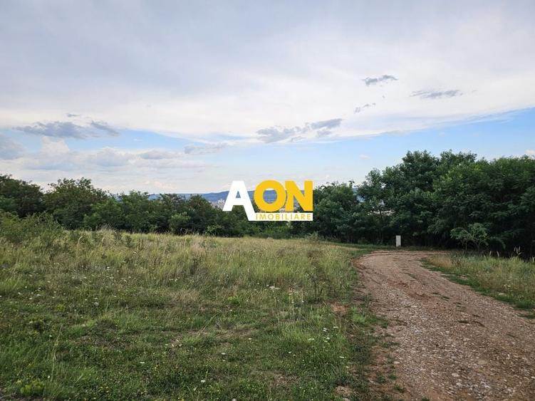 Teren construibil, 1000 mp, zona Schit, cu utilitati si panorama - 2