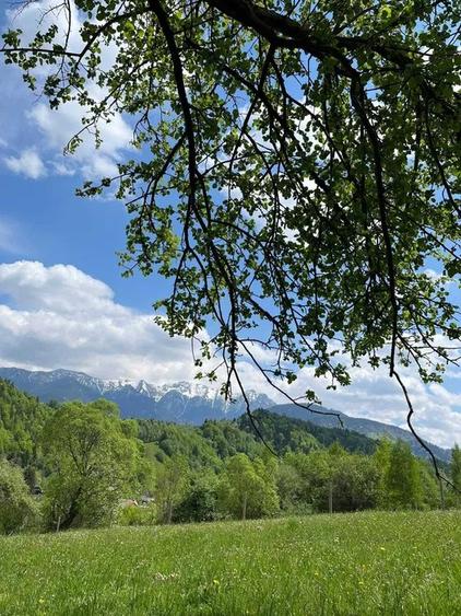 PROPRIETAR - 3274 mp intravilan Simon (BRAN) - 5