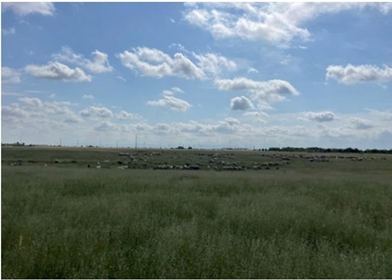 Teren intravilan - 8