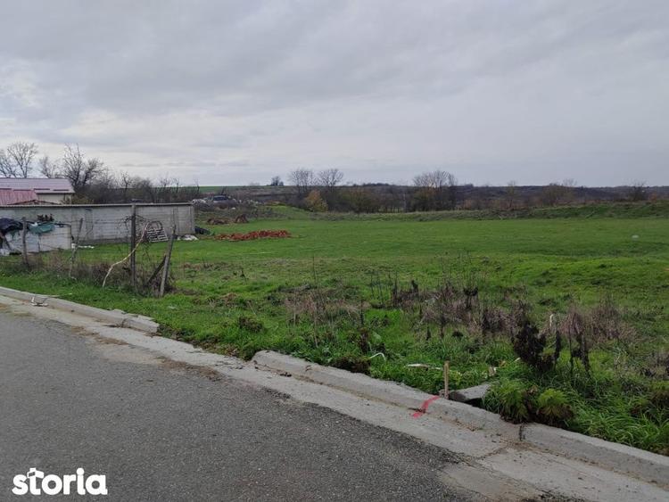 Teren Mischii - 760 mp la asfalt , toate utilitatile - 2