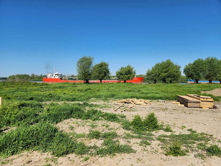 Teren Delta Dunarii 1.000 mp - Teren Pardina (Bratul Chilia) - 5