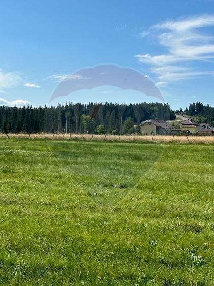 Teren partial intravilan 30,930 mp Poiana Stampei-DN E58, Suceava - 11