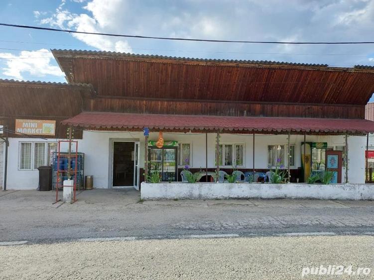 Casa, spatiu comercial, teren intravilan 3025 mp, sat Ciuperceni, pret excelent - 1