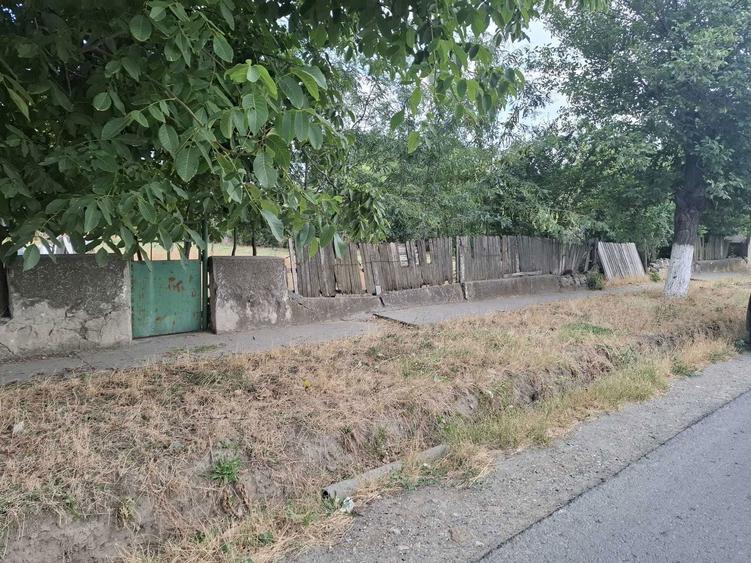 Vand 2144mp teren intravilan Com. Cuza Voda Jud. Constanta 25e/mp - 6