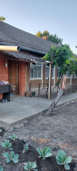 Casa de vanzare comuna Socodor - 3