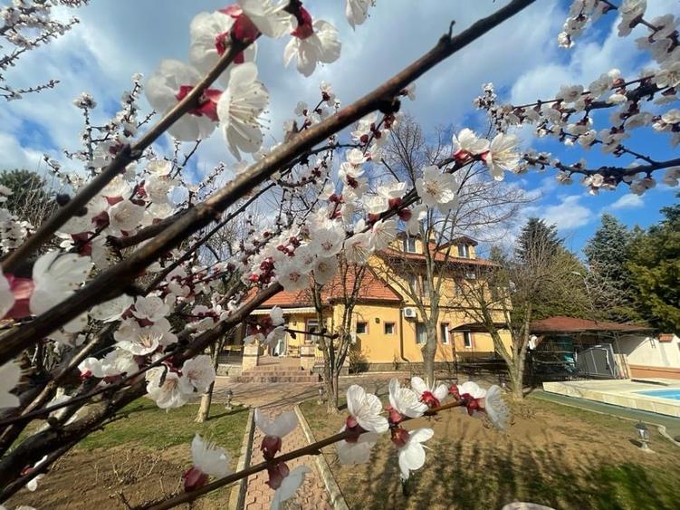 Villa Tajen - Pool & Sauna/Luxury Interior/Vast Fruit Garden - 8