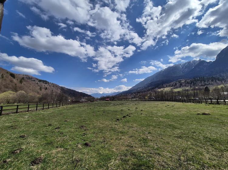 Teren superb intravilan 1200 mp, Plaiul Foii, vedere la munte - 6