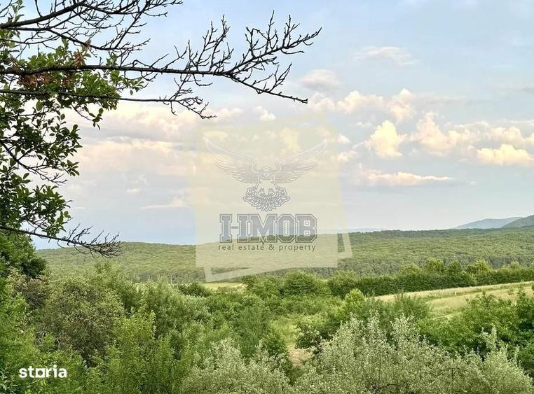 Teren intravilan 1080 mp zona Tropinii Noi - 3