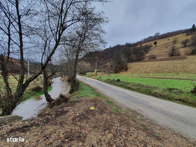 Teren Poiana Marului pretabil investitie 5 euro/mp - 3