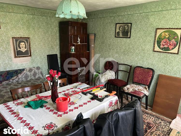 Casa la tara cu teren 3940 mp si livada zona linistita - 5