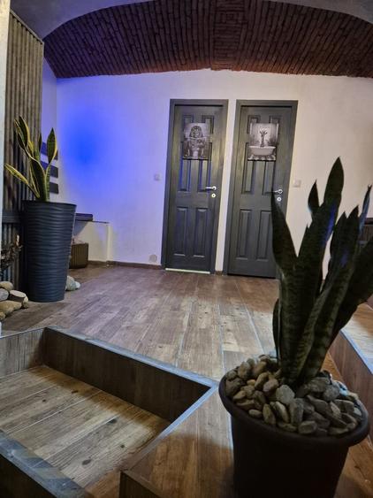 Str Lunga, zona Mielul Alb, spatiu comercial de 82mp tip crama, 129900 euro - 7