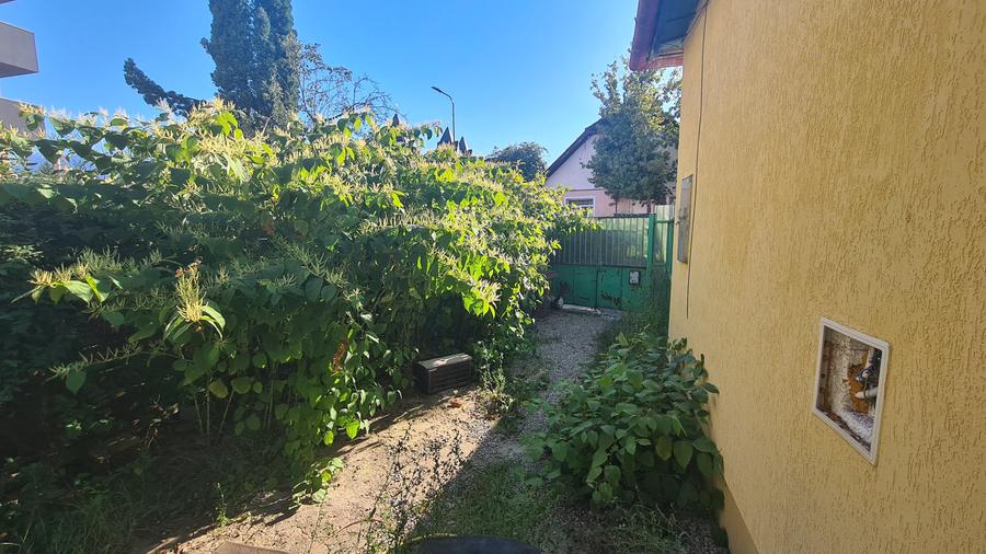 CASA CU CURTE - RACADAU - 12