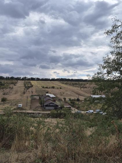 Teren agricol extravilan de 5 mp, în Palilula