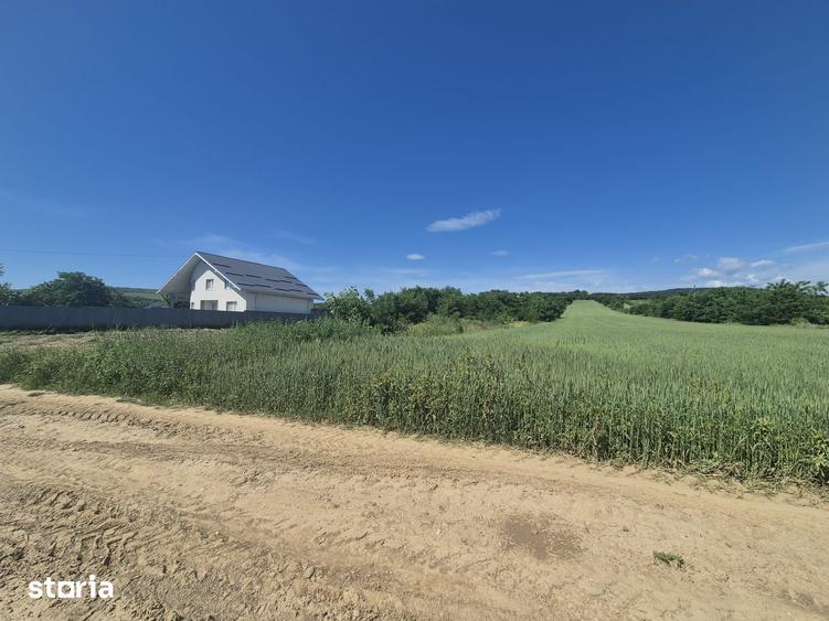 Teren de 8000 mp, în Măgura