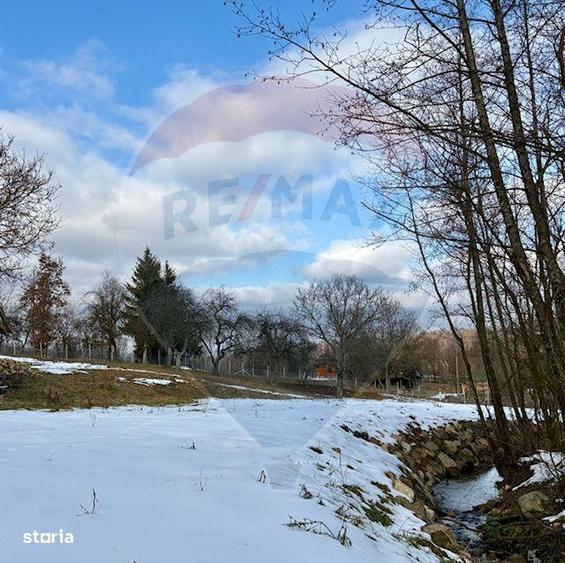 Casa traditionala+teren 9.035mp in Breb,Maramures - 2