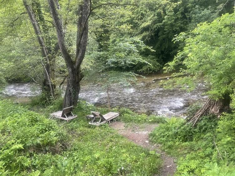 Oportunitate unica ! Proprietate in parc na?ional pe malul Cernei ! - 5