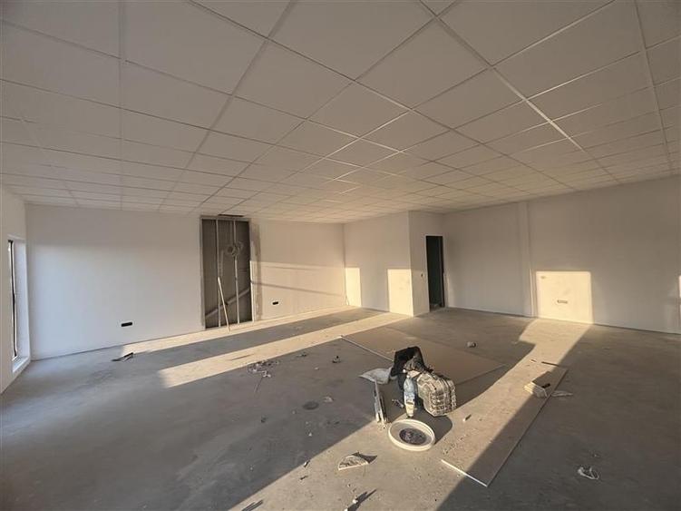 Vanzare depozit/hala/spatiu industrial Mogosoaia - Centura - 4