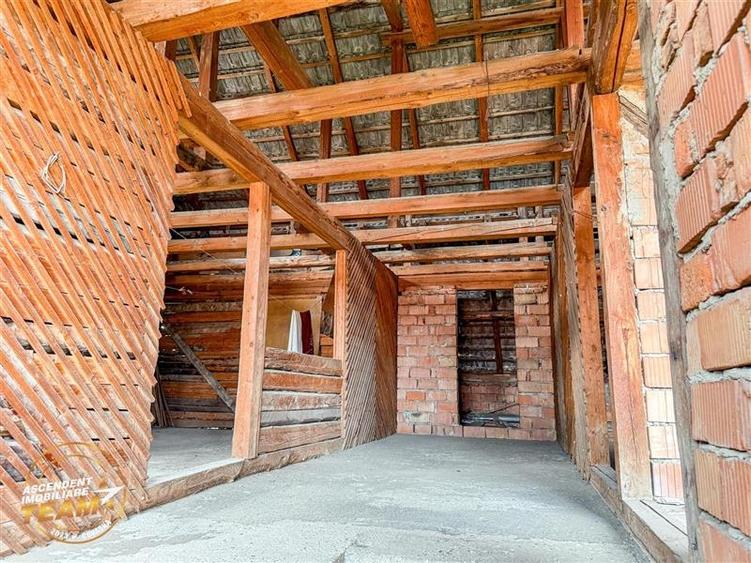 Ansamblu:doua case+anexe+domeniu de 10.101mp, Intorsura Buzaului,Covasna: FILM& - 29