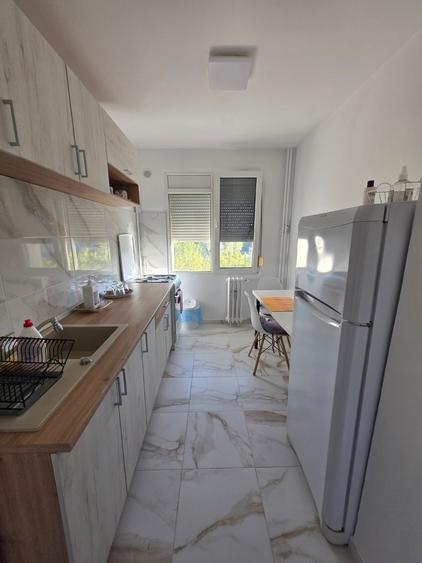 Theodor Pallady, chiar la metrou 1 Decembrie 1918, stradal - 2