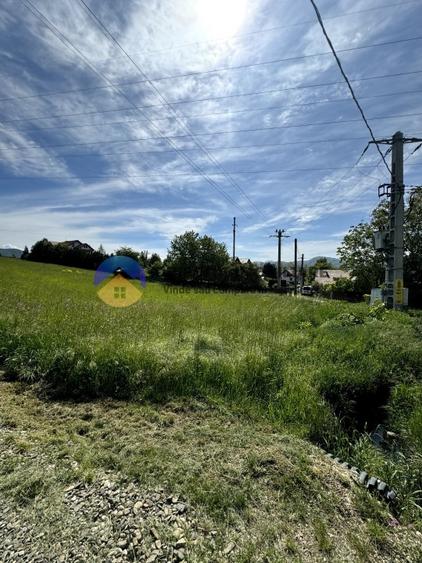 Teren Viisoara - comuna Alexandru cel Bun - 7