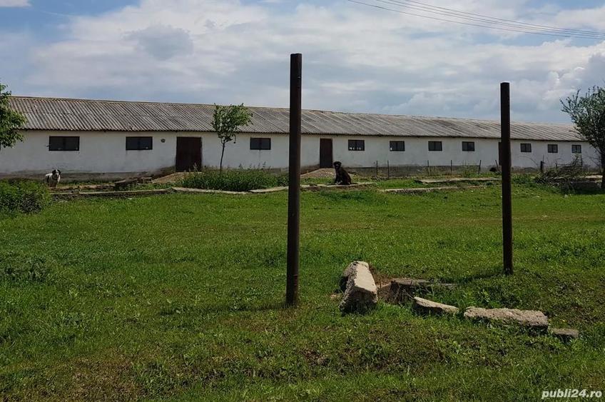 Hala Depozit de inchiriat - 3