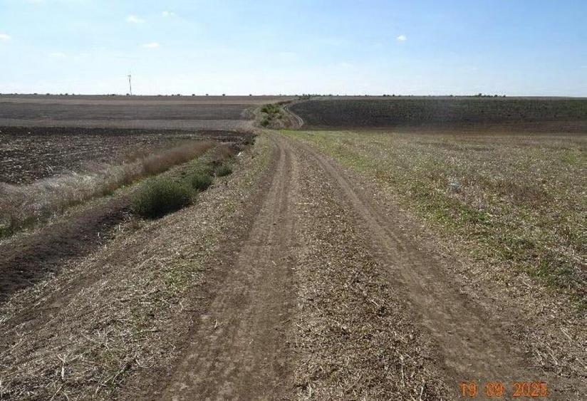 Teren extravilna Cota parte 1/16, CObadin, ID: R2782865 - 5