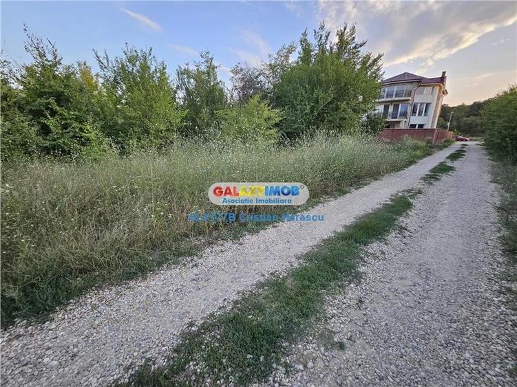 Buftea Flamanzeni 843 mp Str Independentei - 13