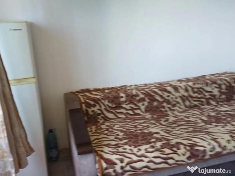 Garsoniera - granit - si animale de companie - 2