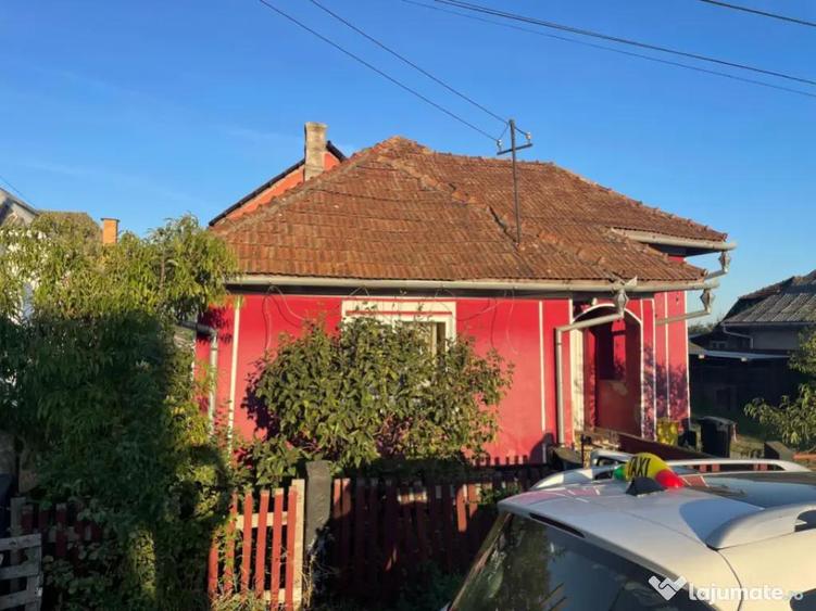 Investitie pentru liniste si oaza de verdeata - 9