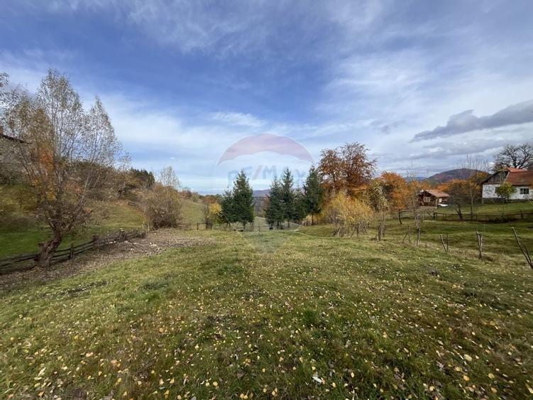 Teren de Vis in Bran - 1000mp Plat, Liniste Absoluta si Aer Curat - 9