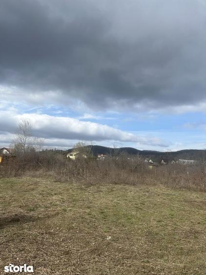 BANESTI - teren intravilan - 1035mp - 50 Euro/mp - 5