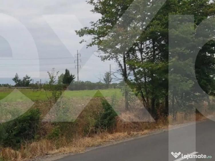 Teren intravilan 4.800 mp langa Autostrada Pite?ti - - 3