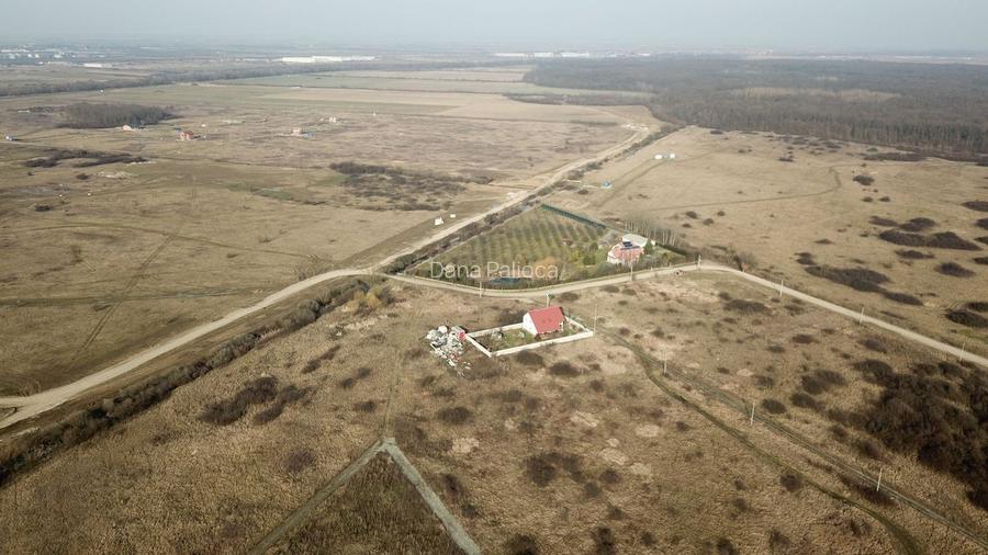 TEREN MOSNITA VECHE - GHIRODA 904 MP