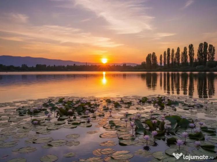 TEREN SILISTEA SNAGOVULUI 5000mp iesire LAC 30ml - 2