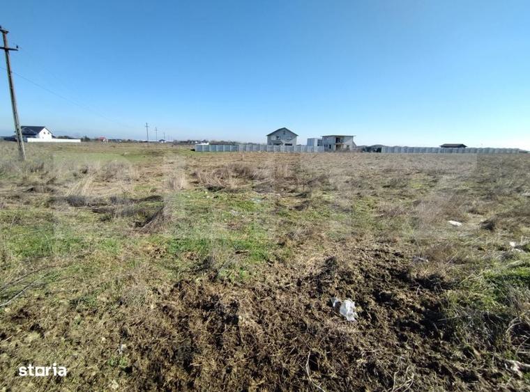 Lot 5 parcele intravilan, Metro, 7439 mp, acces la utilitati - 6